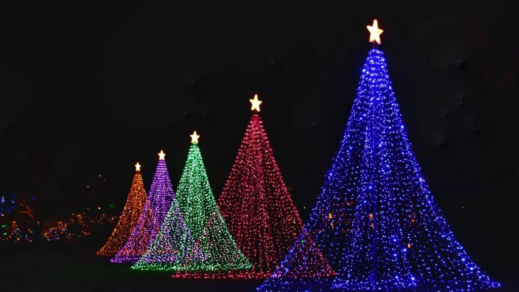 CHRISTMAS LITE-UP – DECEMBER 5th & 6th, 2025